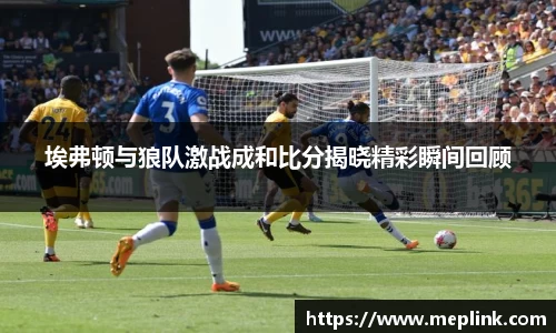 埃弗顿与狼队激战成和比分揭晓精彩瞬间回顾