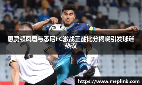 惠灵顿凤凰与悉尼FC激战正酣比分揭晓引发球迷热议