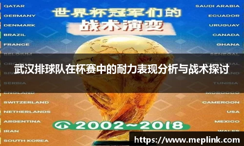 武汉排球队在杯赛中的耐力表现分析与战术探讨